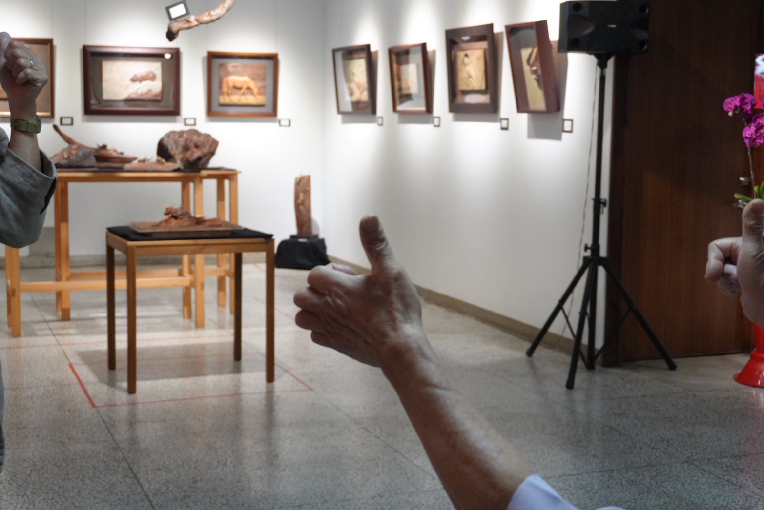 黃媽慶木雕六十 - 生物造型創作+乙巳年生活影像紀錄