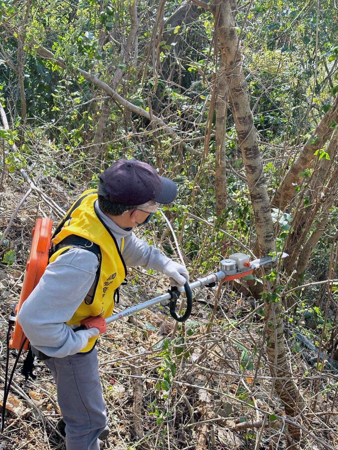 聽見自然的呼喚—2026國聲廣播愛家園淨山日