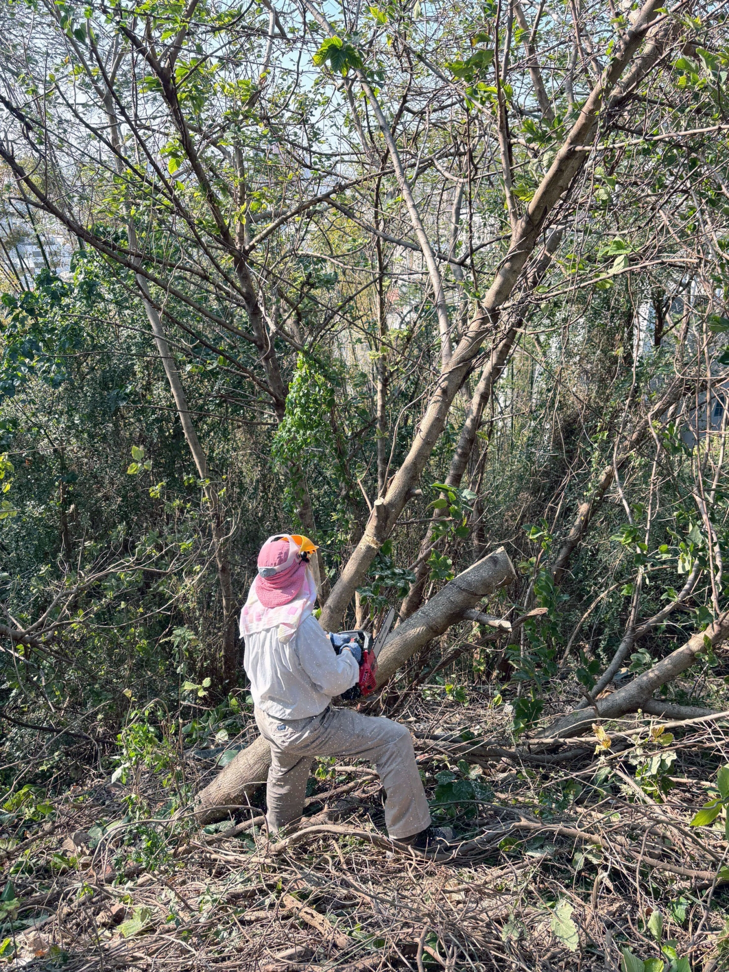 聽見自然的呼喚—2026國聲廣播愛家園淨山日