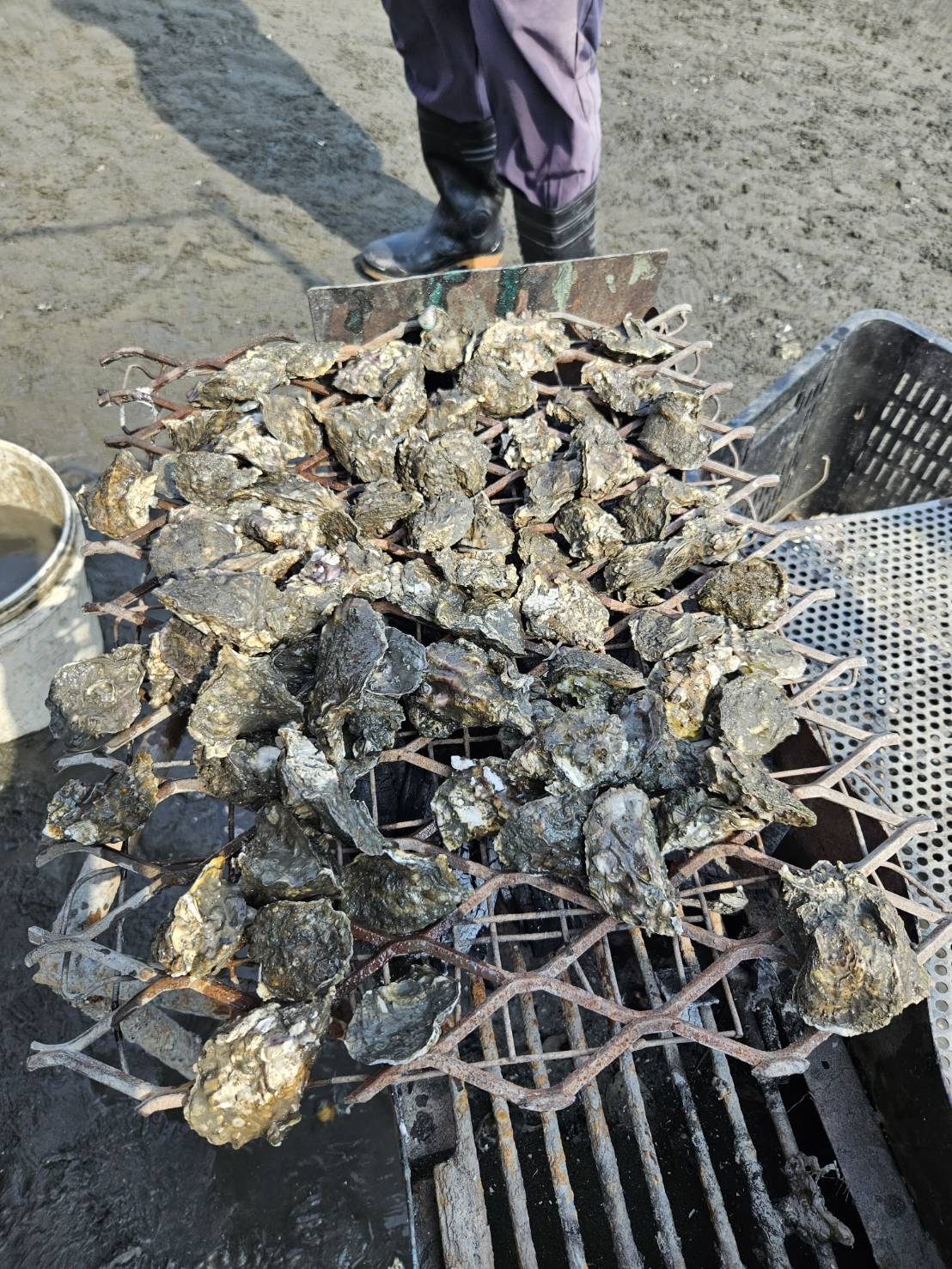 0927芳苑-永興海堤淨灘護海洋