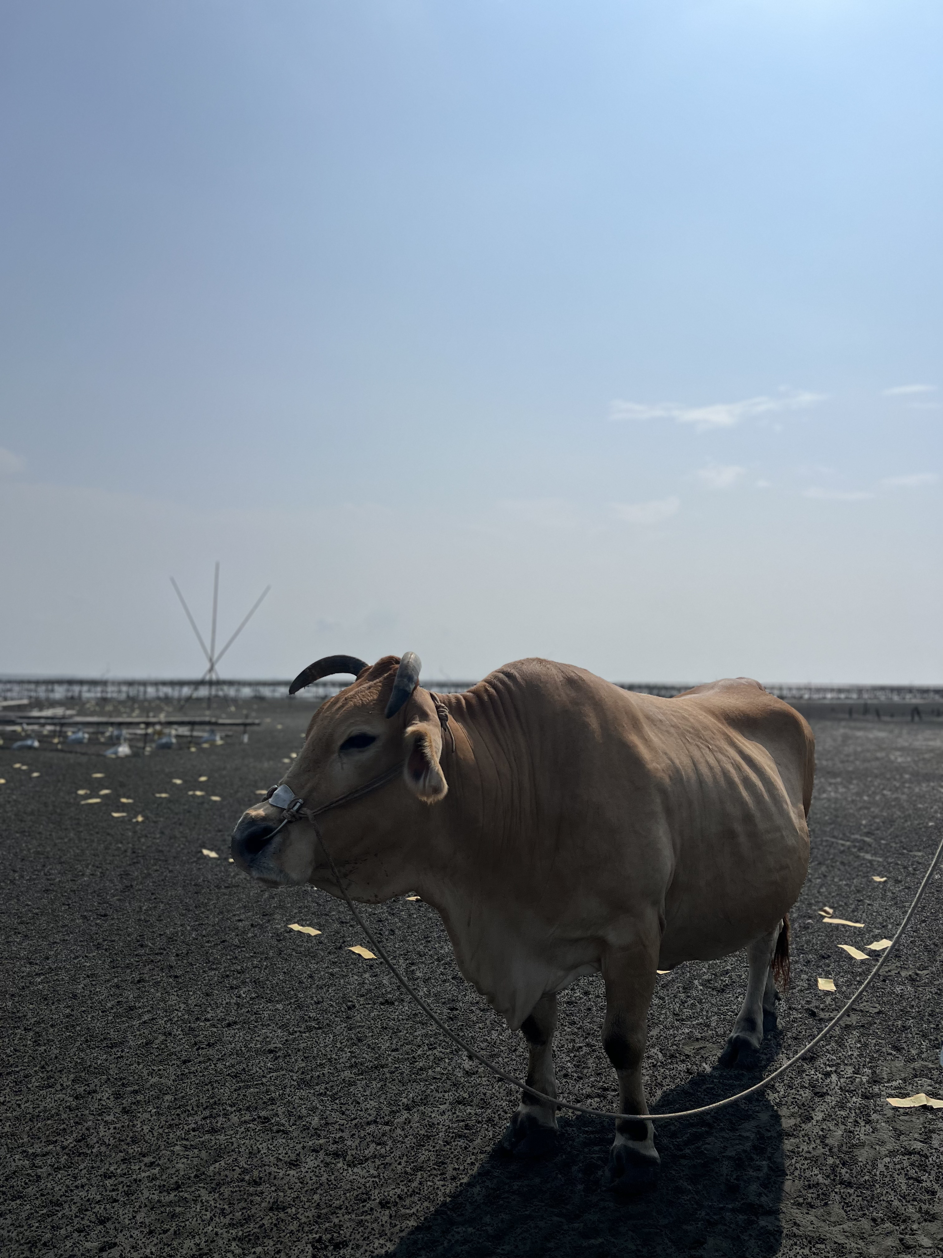 0927芳苑-永興海堤淨灘護海洋