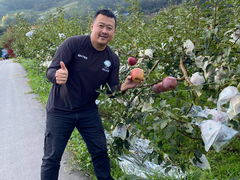 榮信果園~蜜蘋果